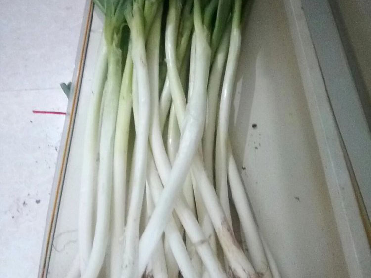 大葱