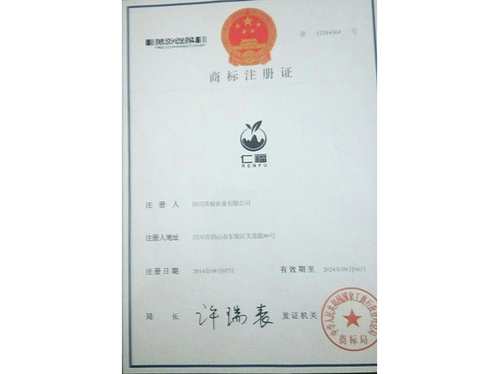 国际巅峰 31d91