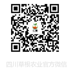 国际巅峰 0da25