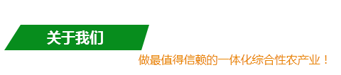 国际巅峰 5727a