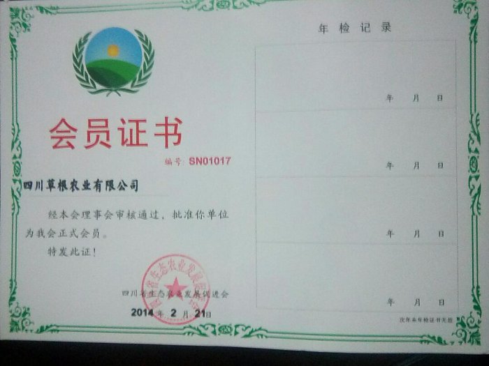 国际巅峰 9bf93