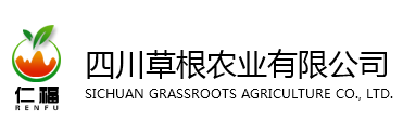 国际巅峰 8de67